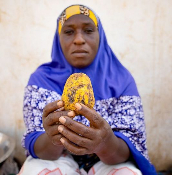 Une vendeuse de madd présente un fruit dans les rues de Dakar, au Sénégal © R. Belmin, Cirad